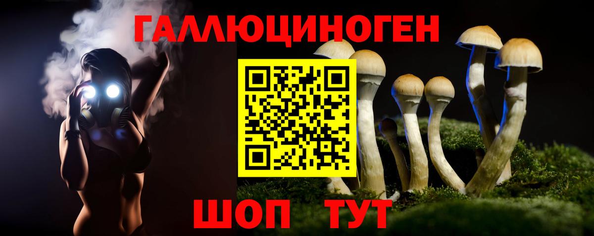 Псилоцибиновые грибы GOLDEN TEACHER  Галлюциногенные грибы Cubensis  Вход с VPN  Рыбинск 